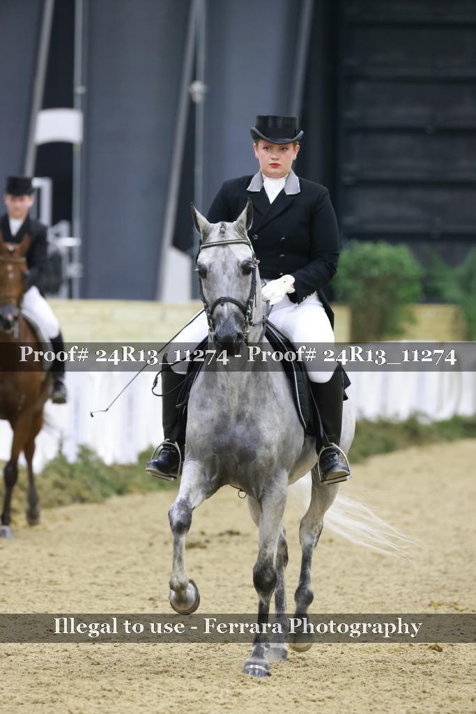 Proof Number 24R13_11274