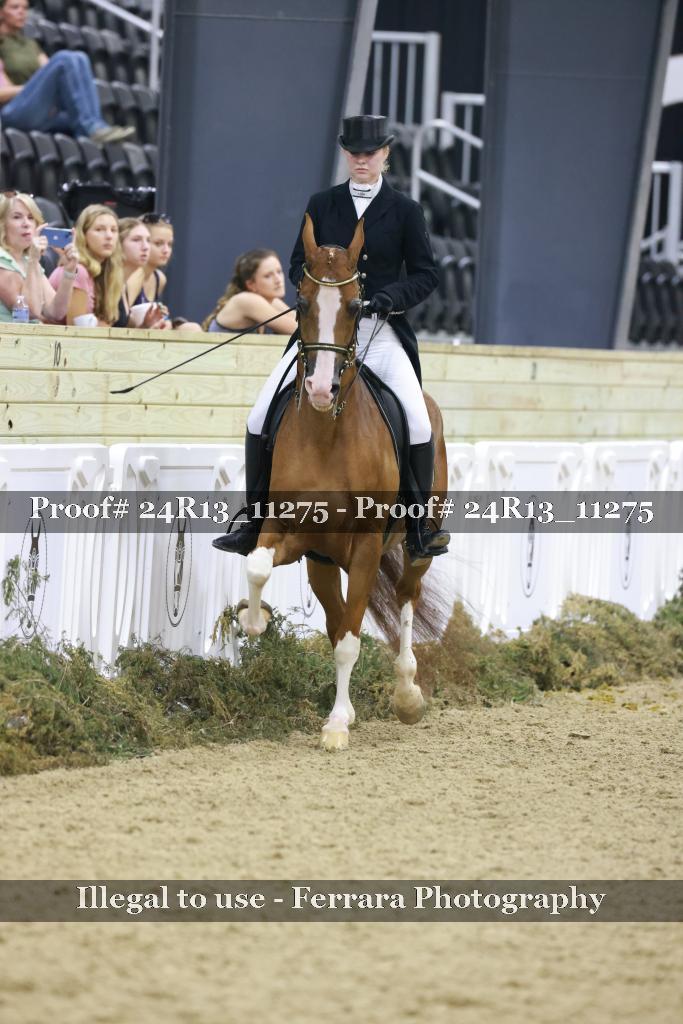 Proof Number 24R13_11275
