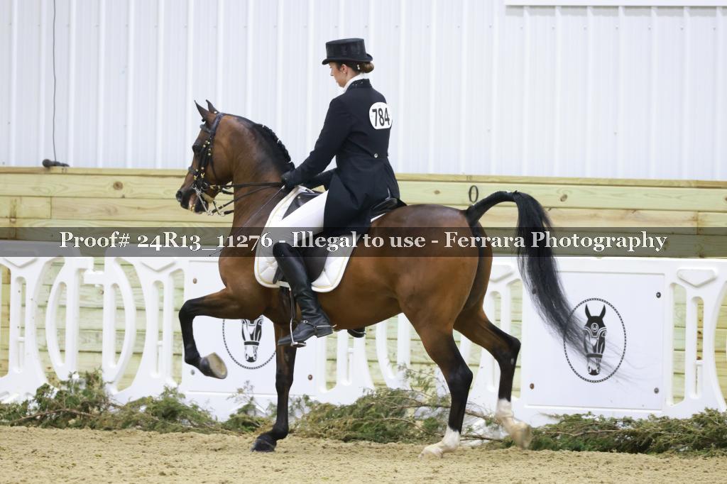 Proof Number 24R13_11276