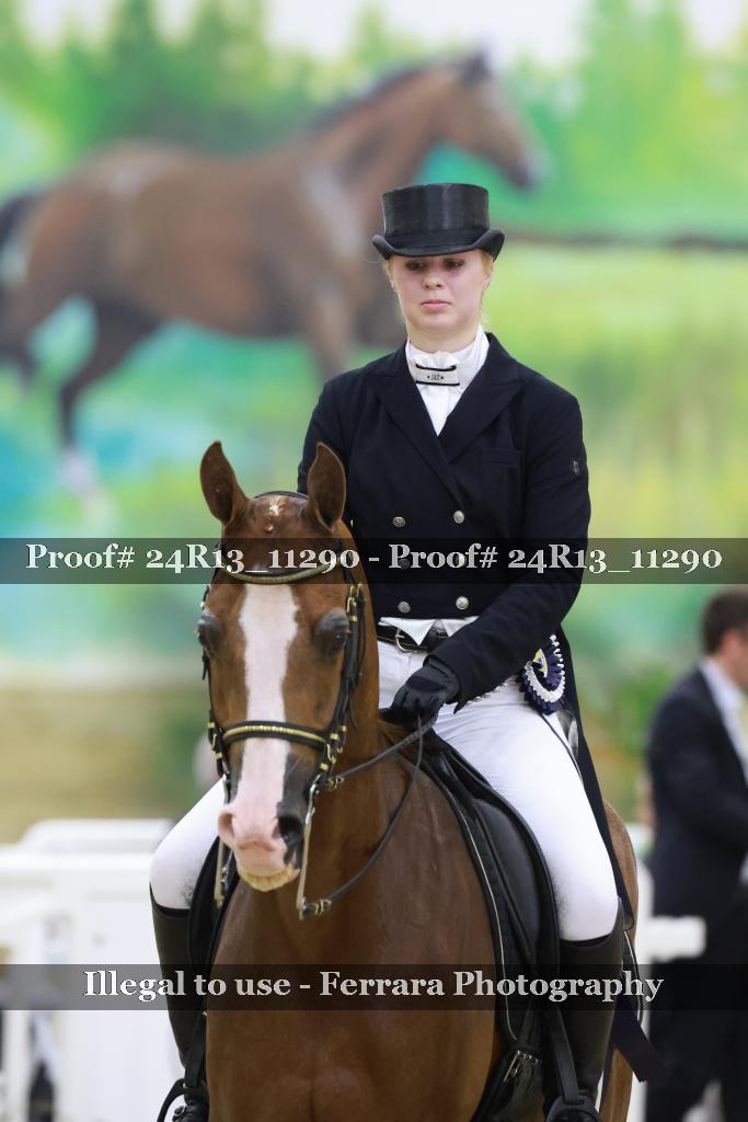 Proof Number 24R13_11290