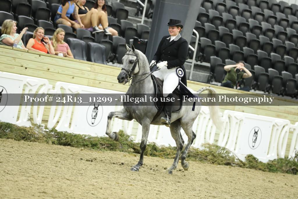 Proof Number 24R13_11299