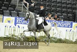 24R13_11301 thumbnail
