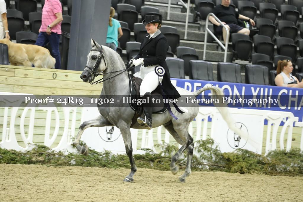 Proof Number 24R13_11302