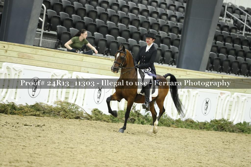 Proof Number 24R13_11303