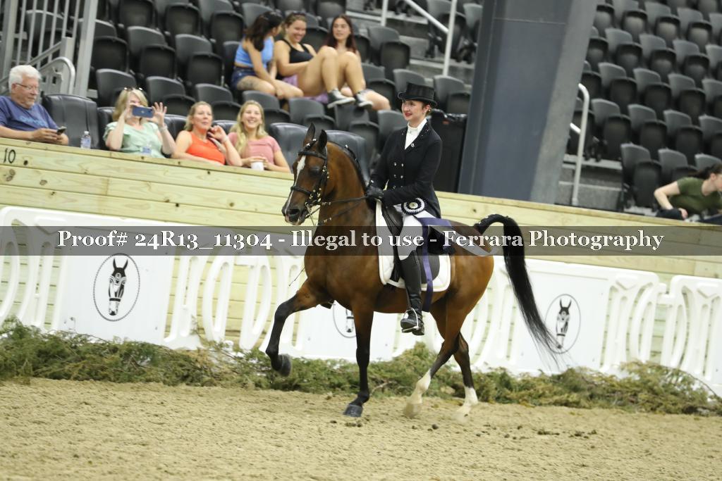 Proof Number 24R13_11304