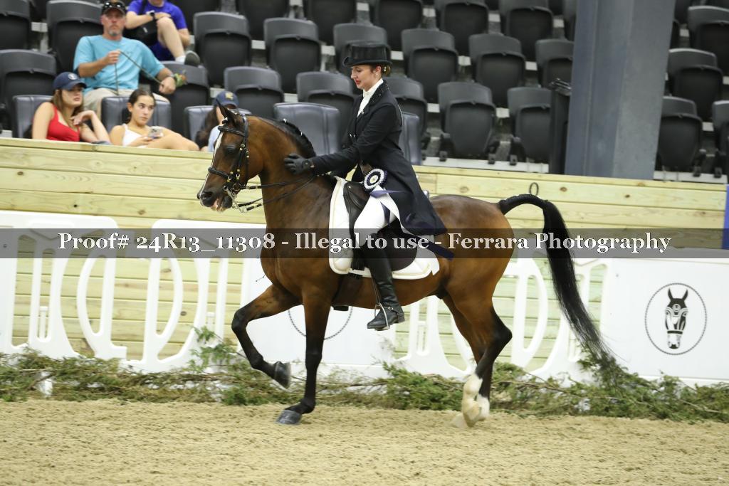 Proof Number 24R13_11308
