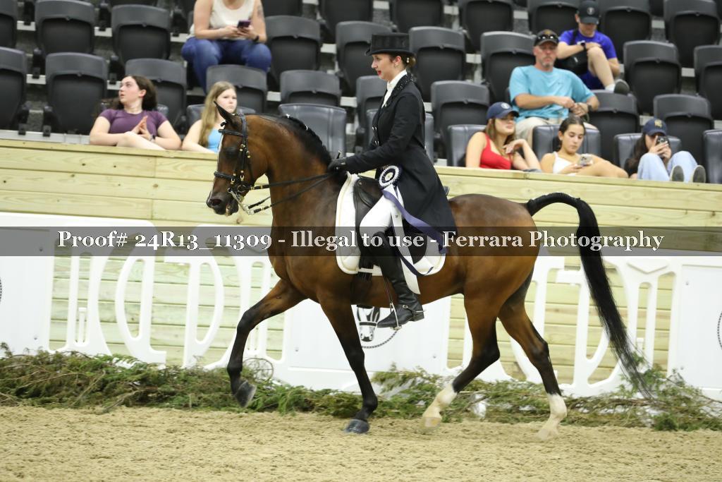 Proof Number 24R13_11309