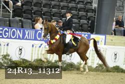 24R13_11312 thumbnail