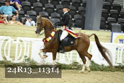 24R13_11314 thumbnail
