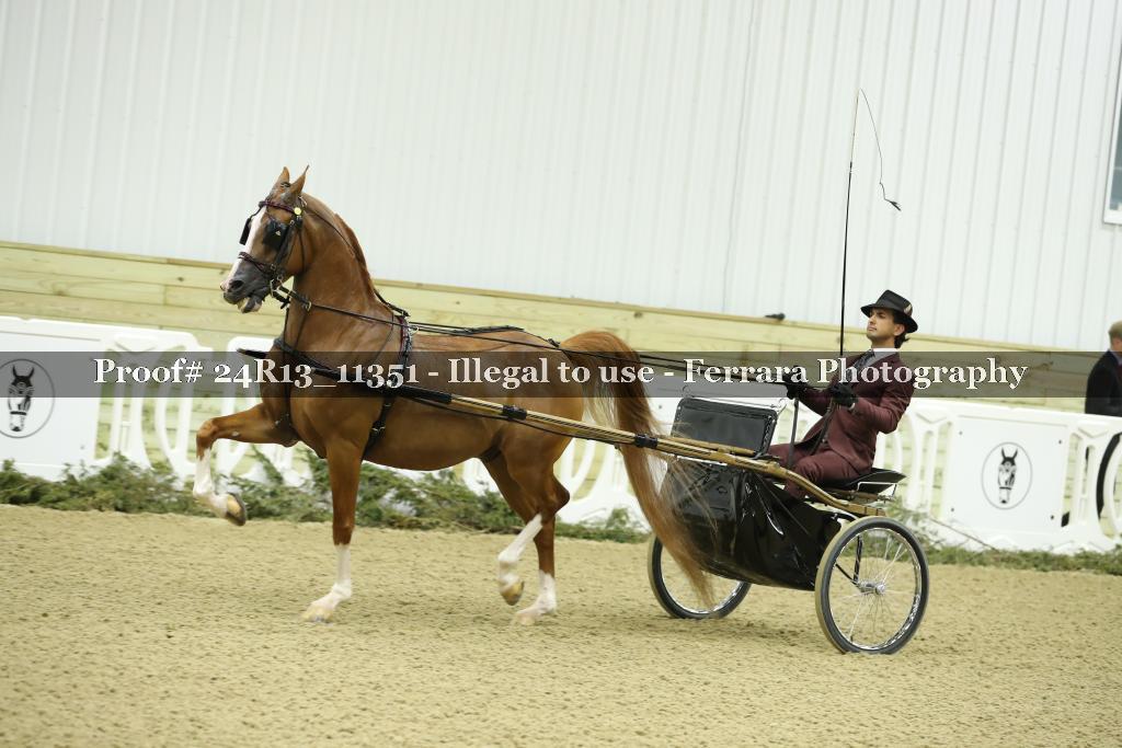 Proof Number 24R13_11351