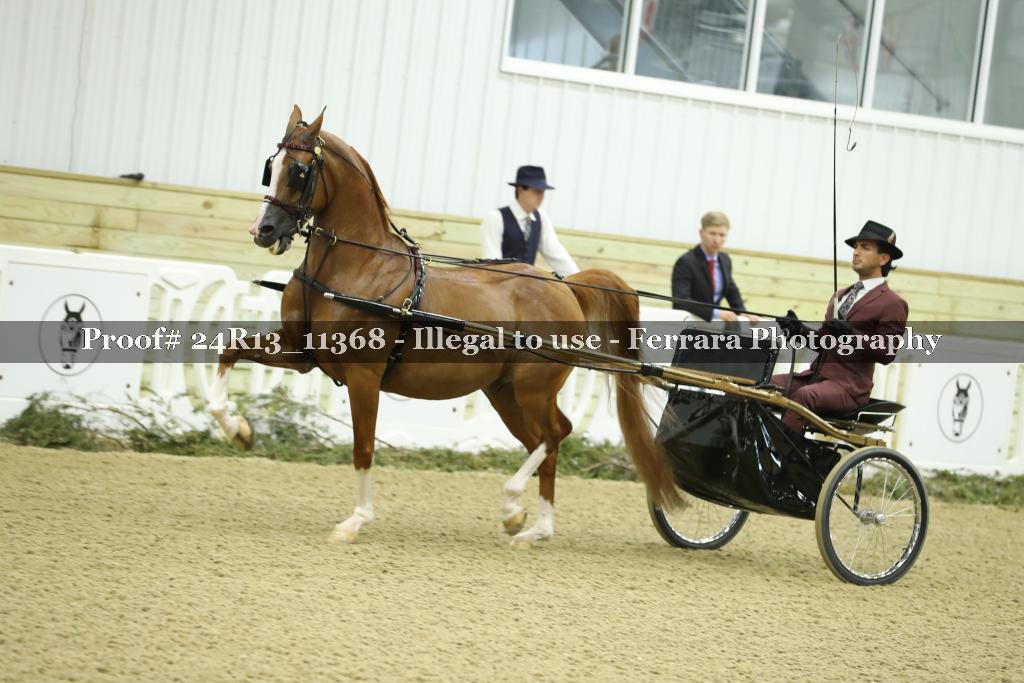 Proof Number 24R13_11368