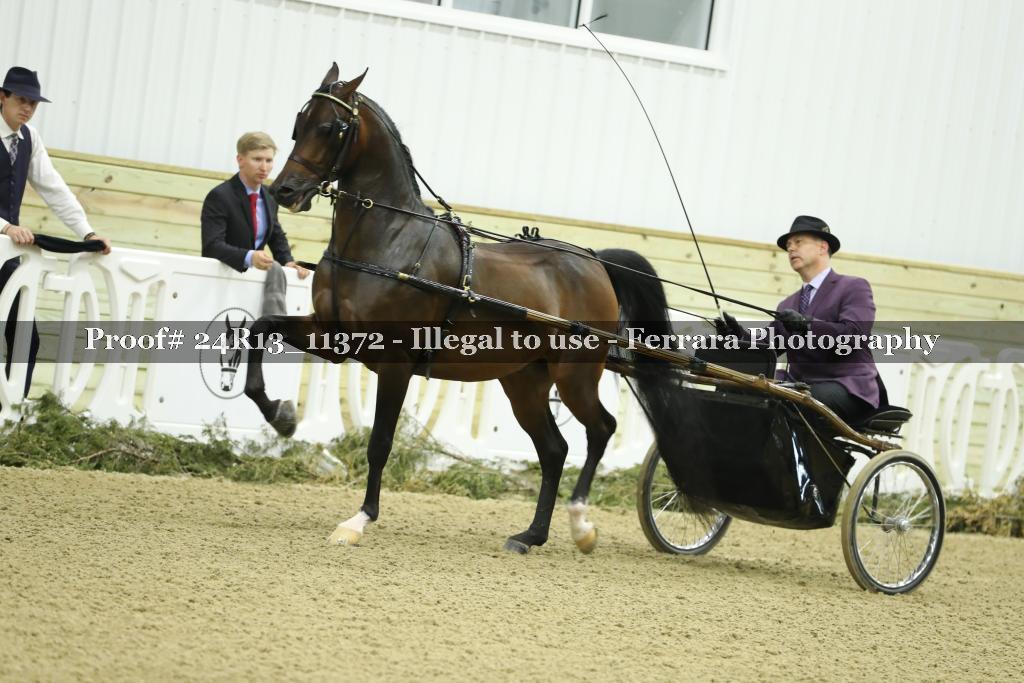 Proof Number 24R13_11372