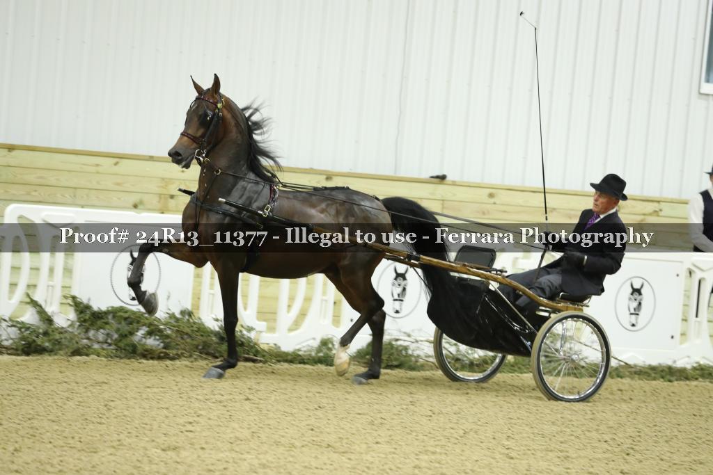 Proof Number 24R13_11377