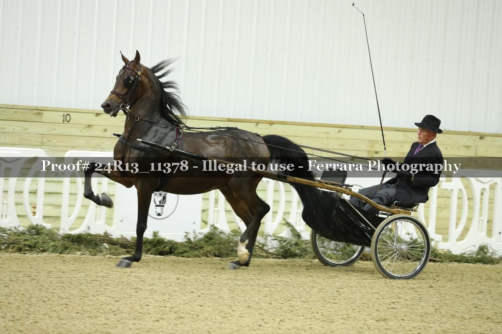 Proof Number 24R13_11378