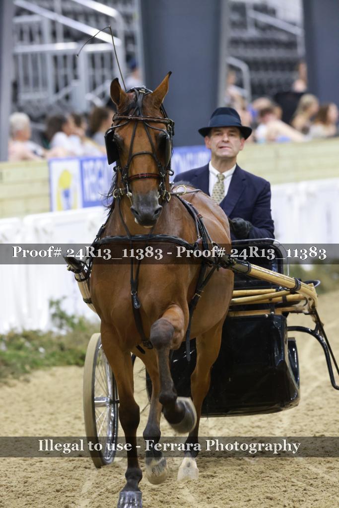 Proof Number 24R13_11383