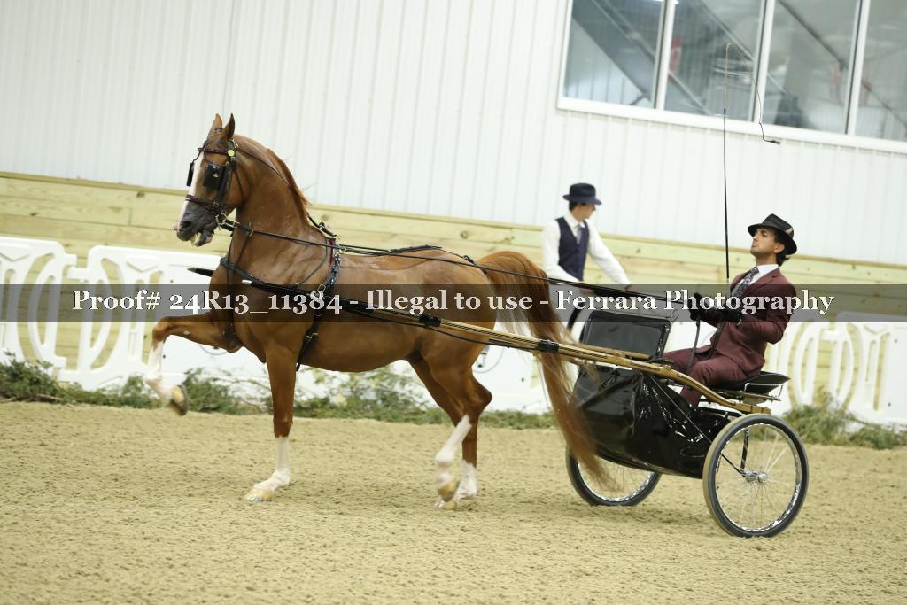Proof Number 24R13_11384