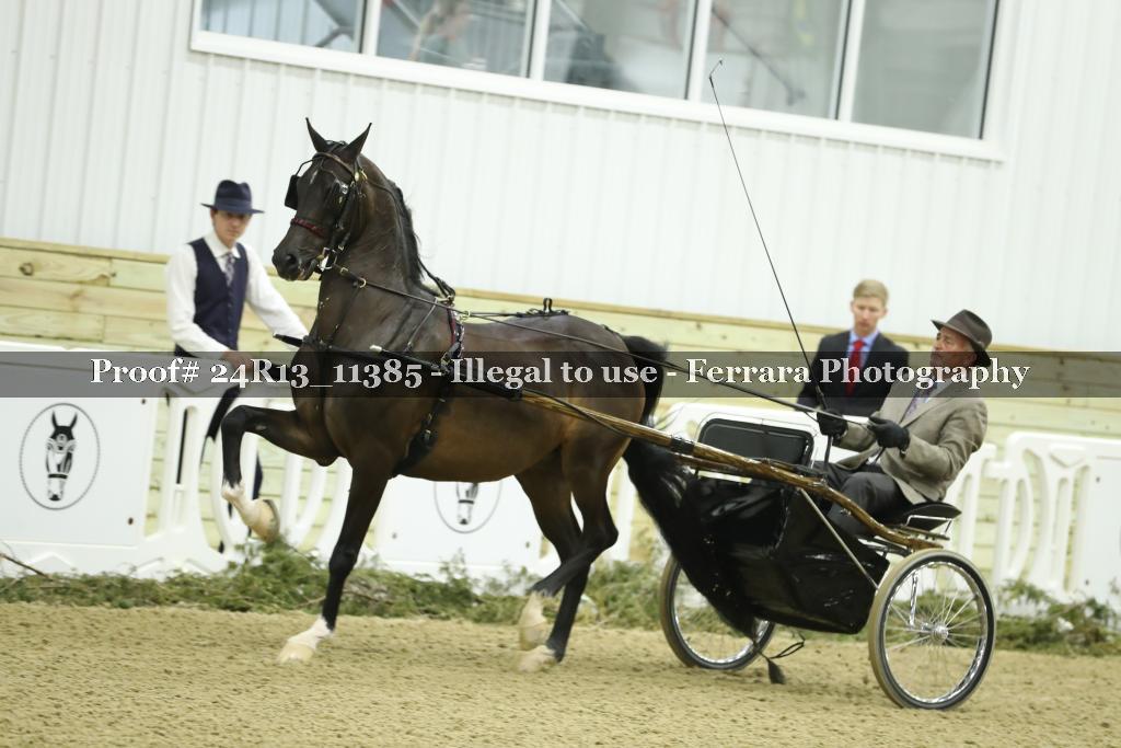 Proof Number 24R13_11385