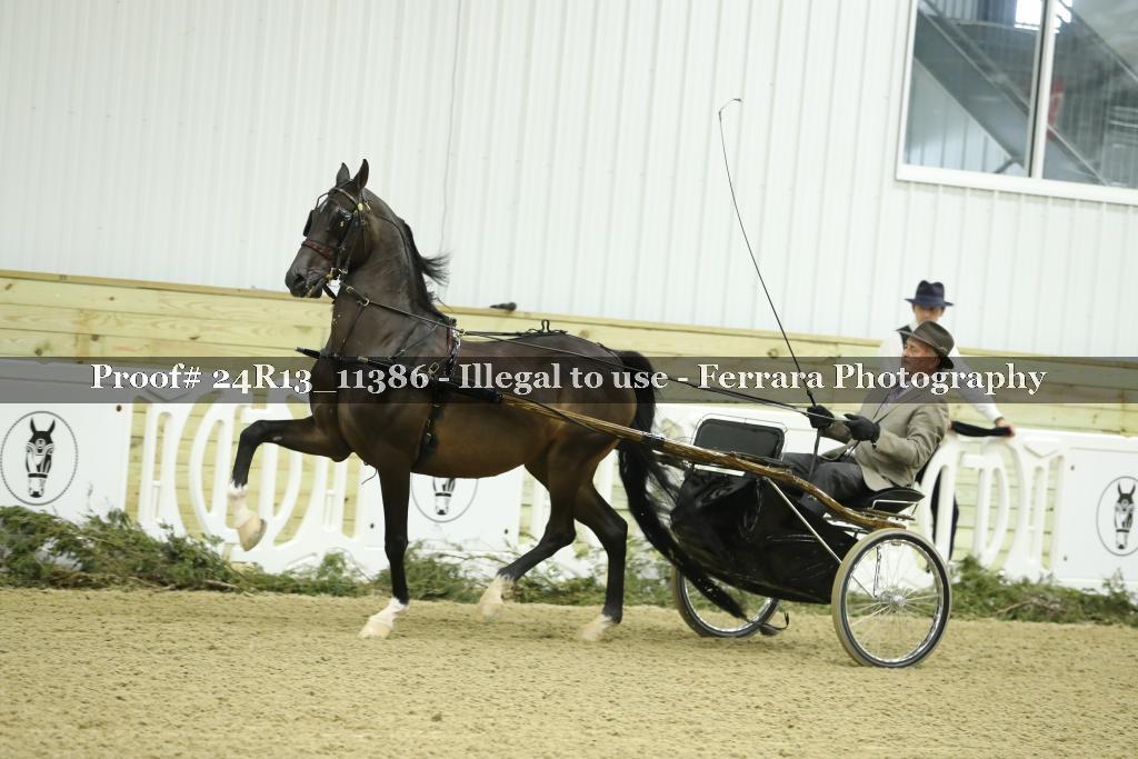 Proof Number 24R13_11386