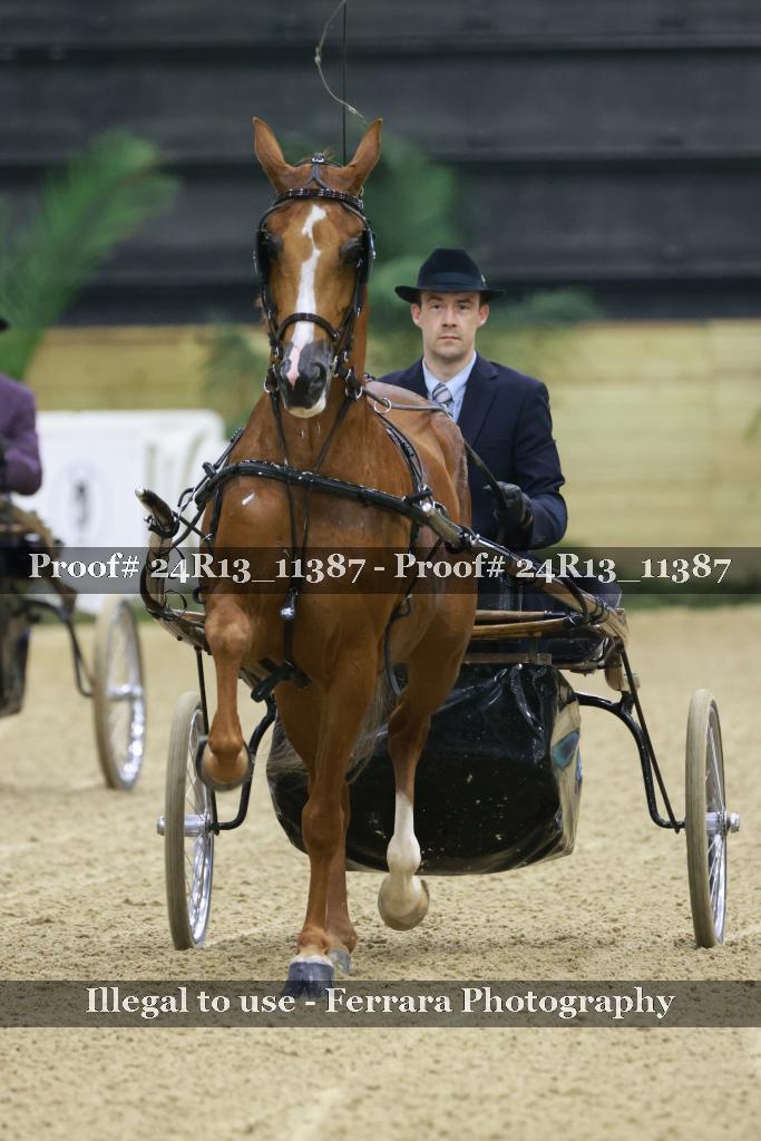 Proof Number 24R13_11387