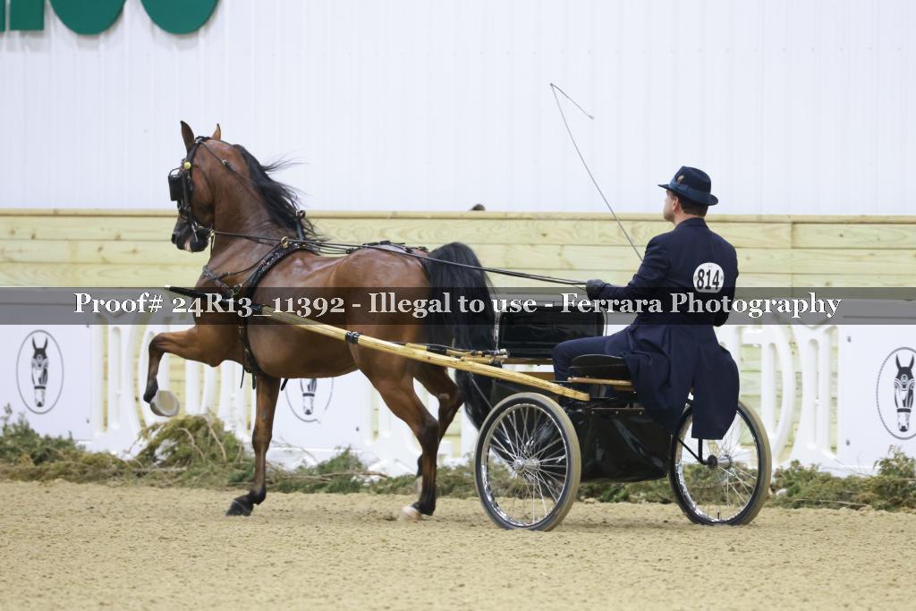 Proof Number 24R13_11392