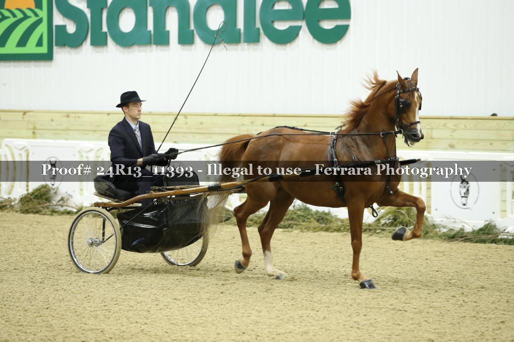 Proof Number 24R13_11393