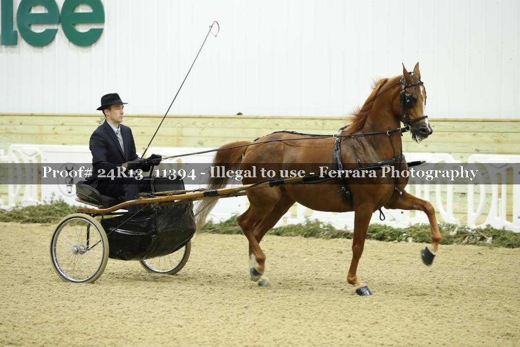 Proof Number 24R13_11394