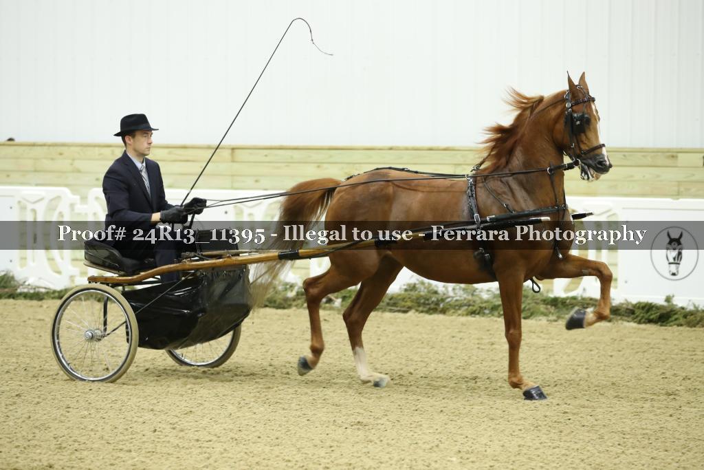 Proof Number 24R13_11395