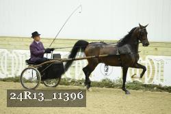 24R13_11396 thumbnail