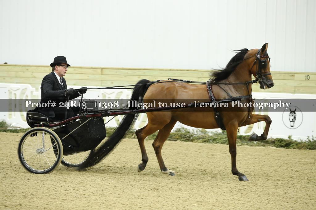 Proof Number 24R13_11398