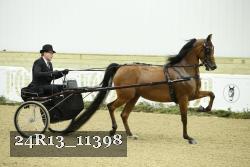 24R13_11398 thumbnail