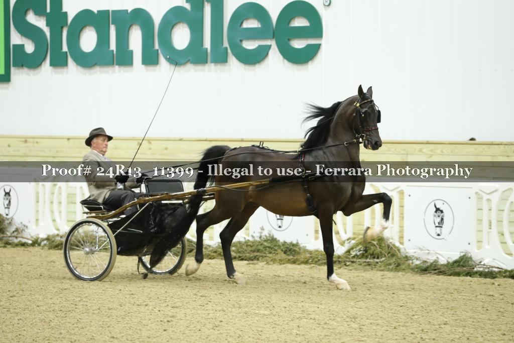 Proof Number 24R13_11399