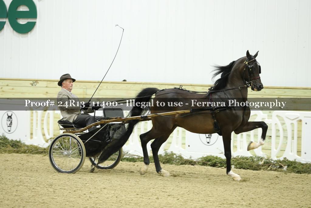 Proof Number 24R13_11400