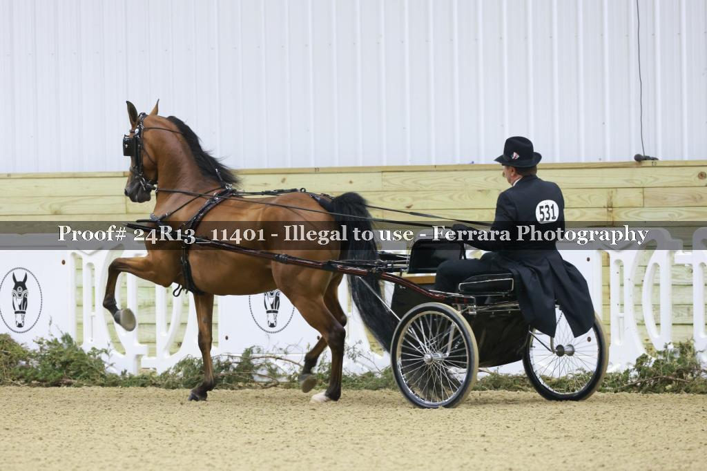 Proof Number 24R13_11401
