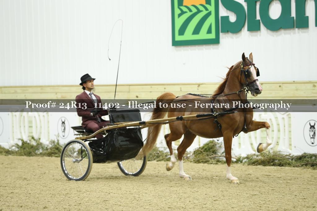Proof Number 24R13_11402
