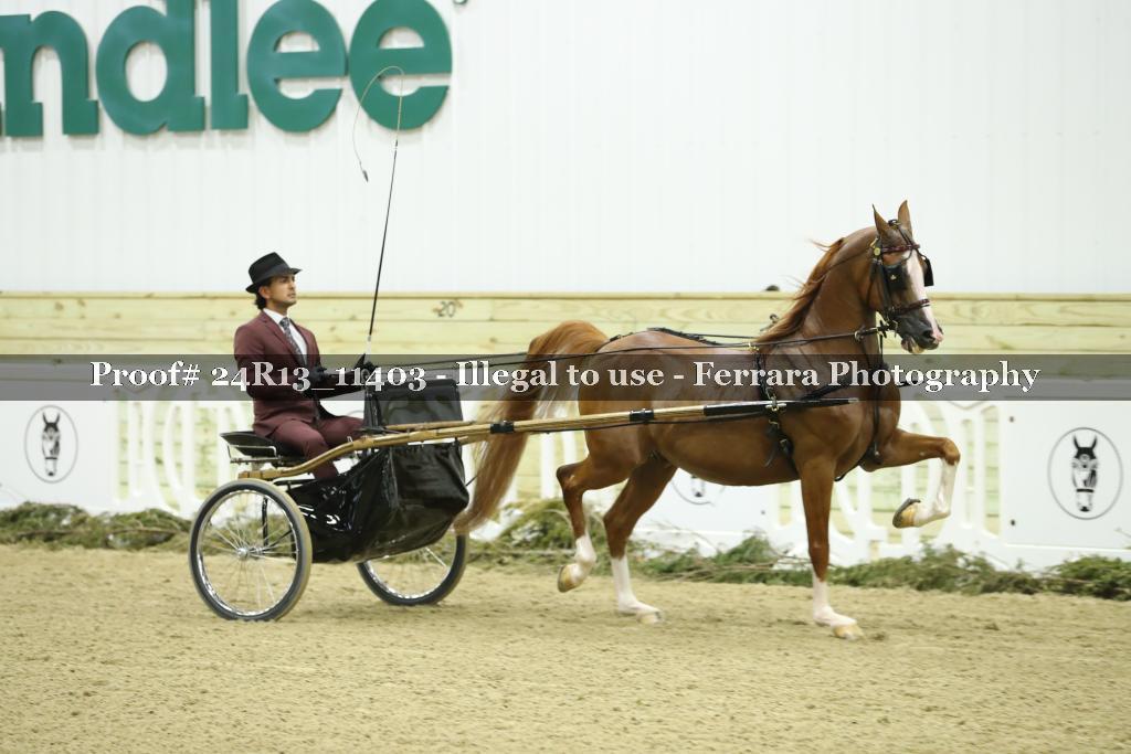 Proof Number 24R13_11403