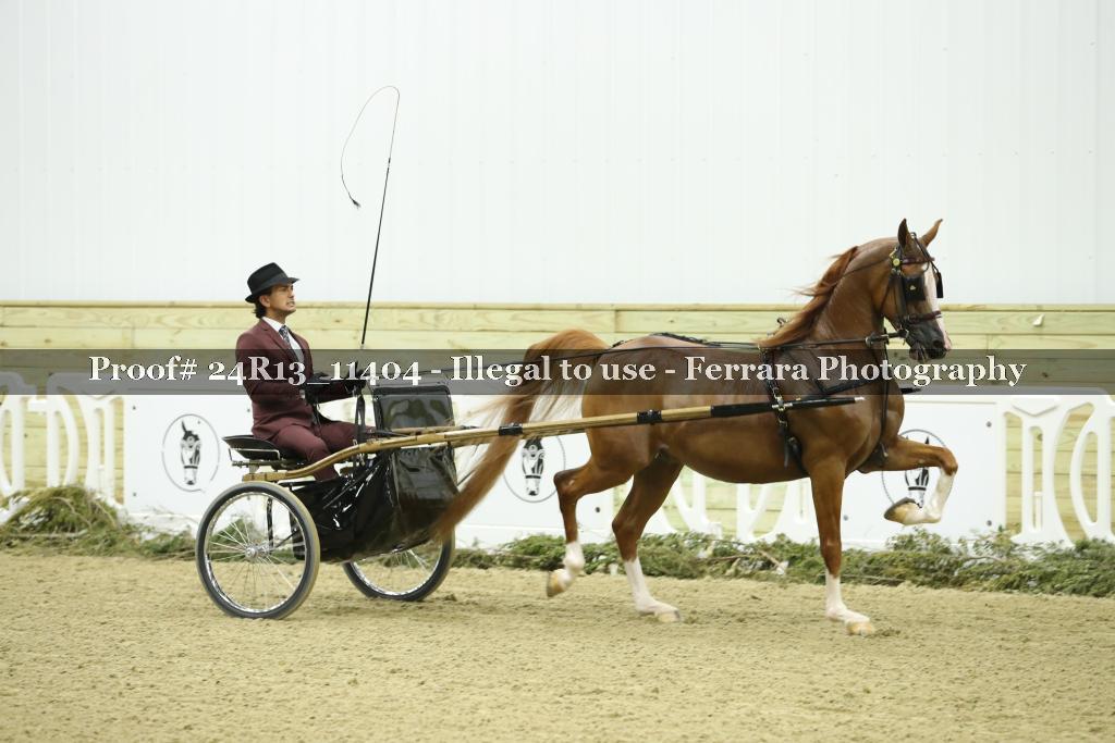 Proof Number 24R13_11404