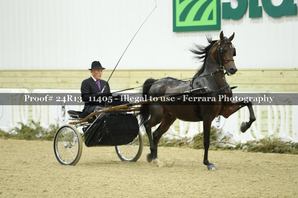 Proof Number 24R13_11405