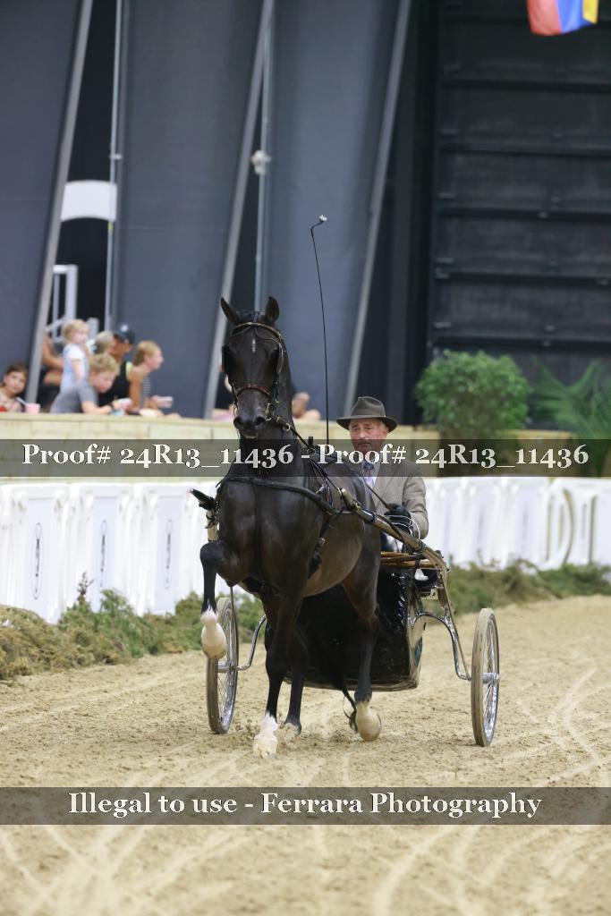 Proof Number 24R13_11436