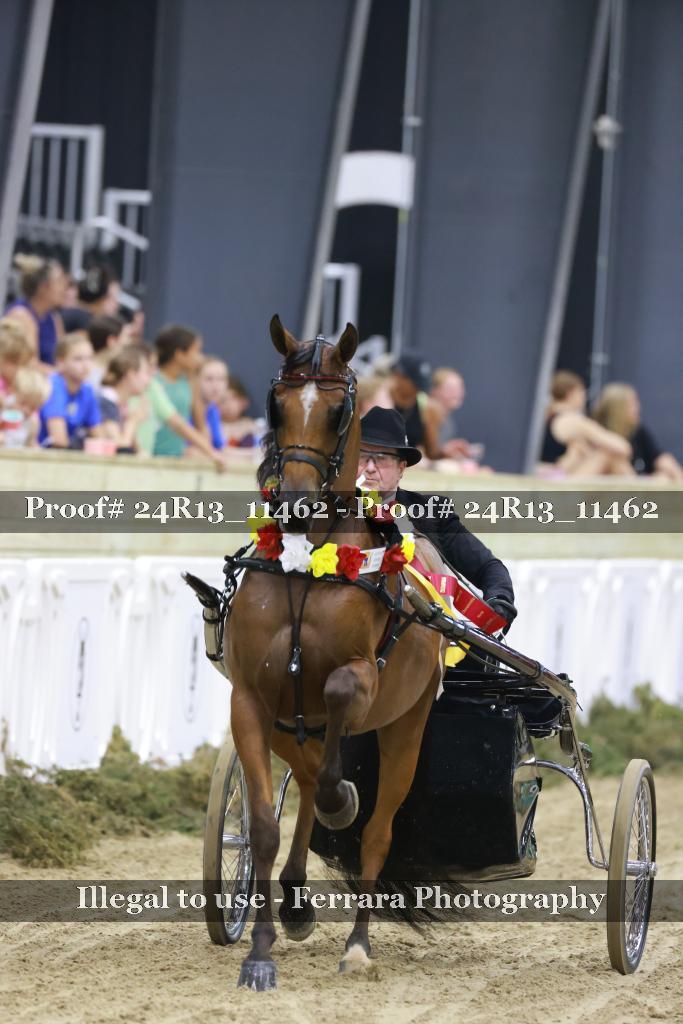 Proof Number 24R13_11462