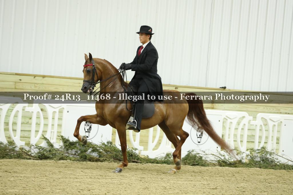 Proof Number 24R13_11468