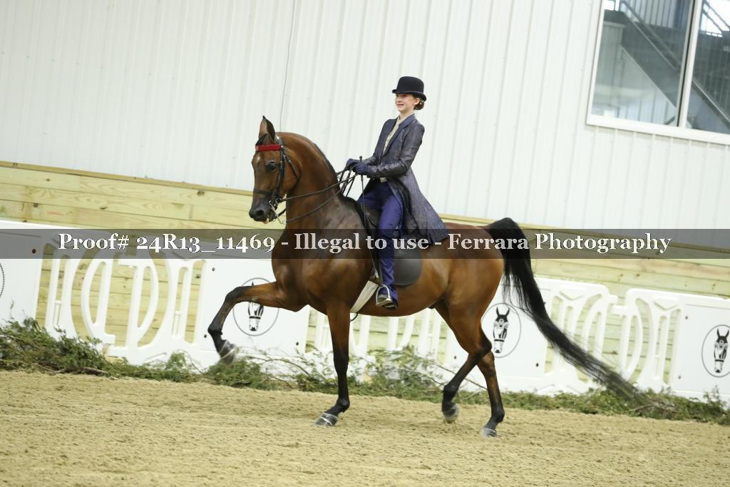 Proof Number 24R13_11469