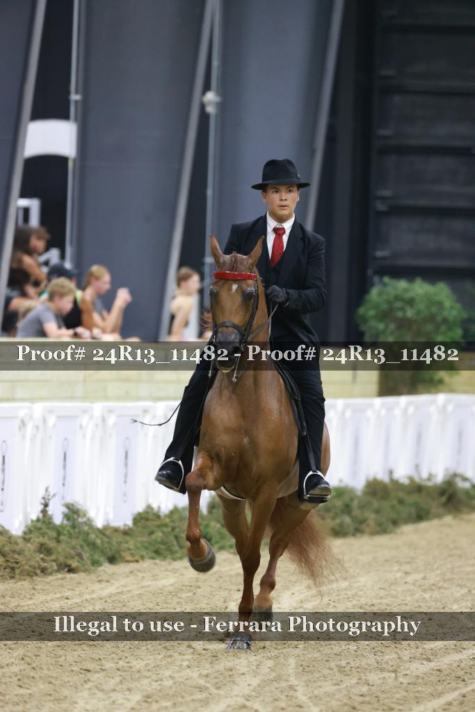 Proof Number 24R13_11482