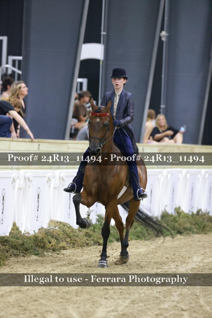 Proof Number 24R13_11494