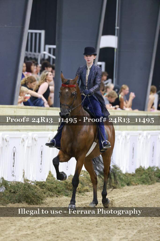 Proof Number 24R13_11495
