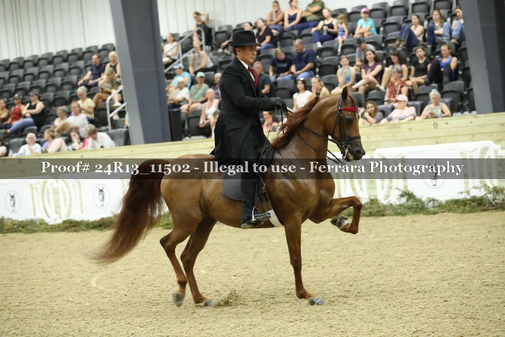 Proof Number 24R13_11502