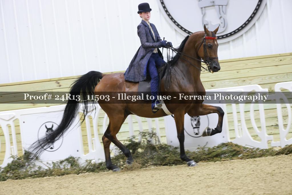 Proof Number 24R13_11503