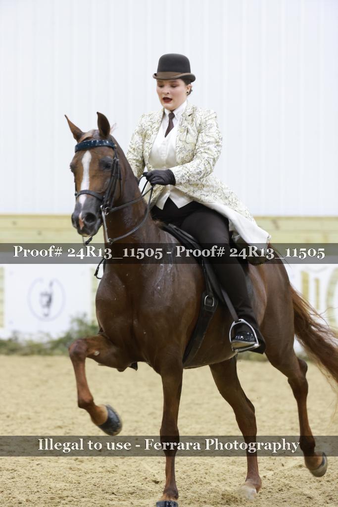 Proof Number 24R13_11505