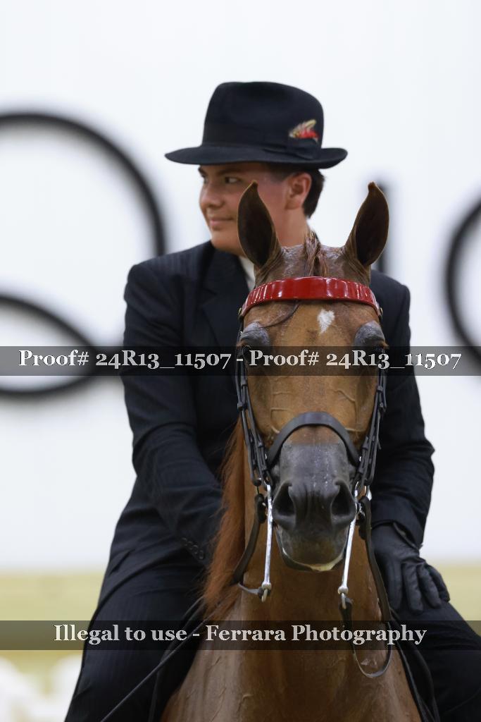Proof Number 24R13_11507