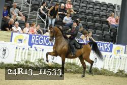24R13_11533 thumbnail