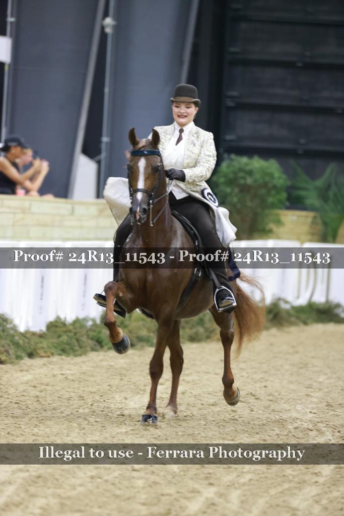 Proof Number 24R13_11543